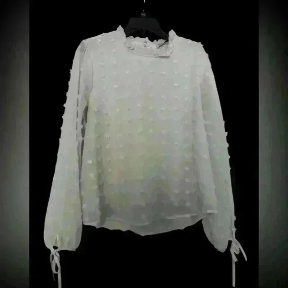 LUMILAC White Sheer Textured Swiss Dot Blouse - Size 2XL - Picture 1 of 3